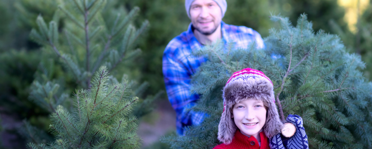 Vater und Sohn tragen stolz ihren gefällten Weihnachtsbaum