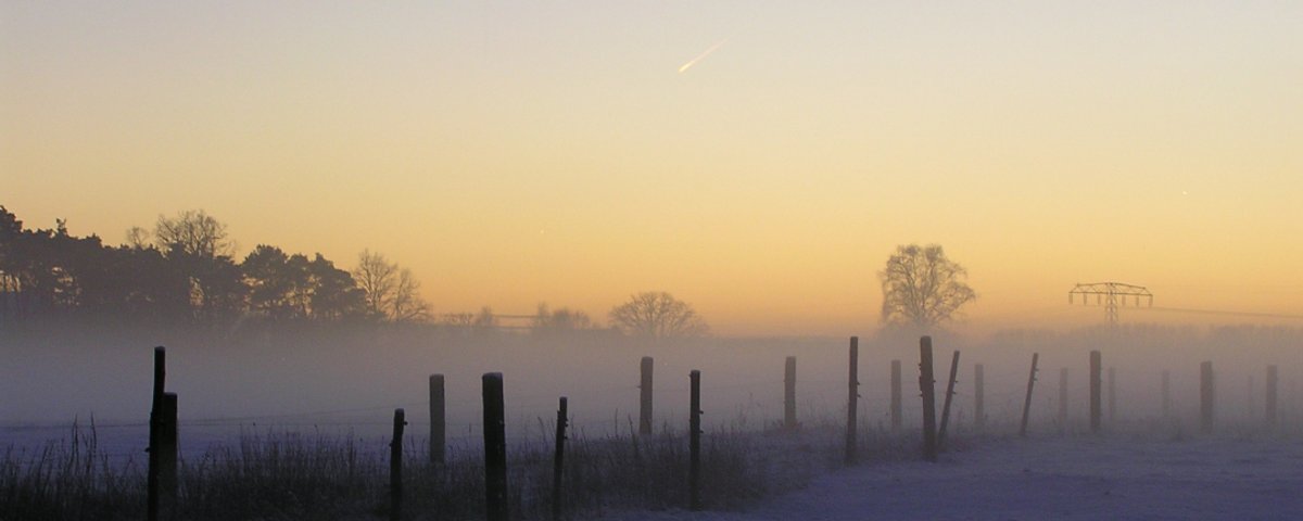 Nebel im Winter auf den Spreewiesen